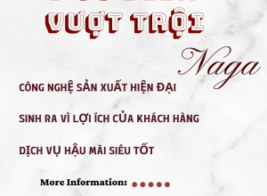 3 Ưu điểm vượt trội của Két sắt Naga